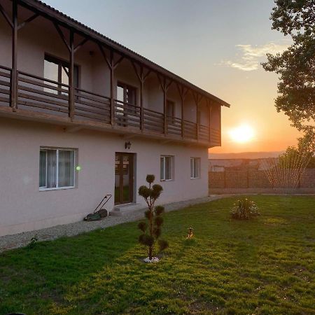 Pensiunea Alin Hotel Sisesti  Exterior photo