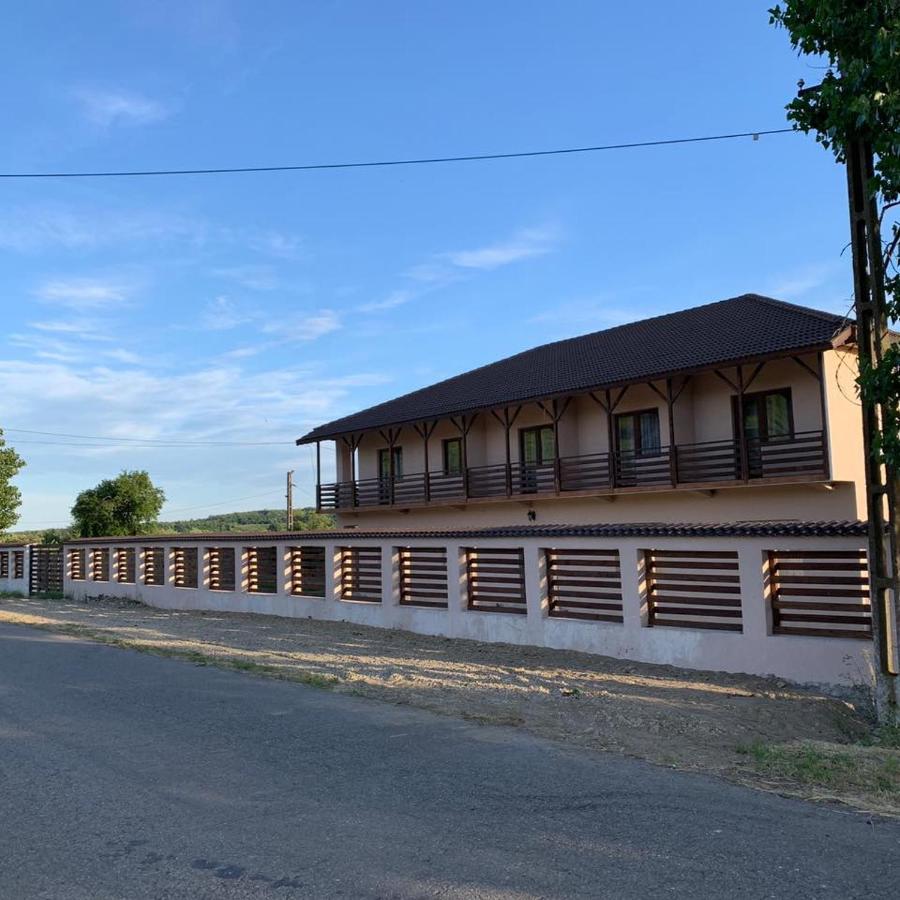 Pensiunea Alin Hotel Sisesti  Exterior photo