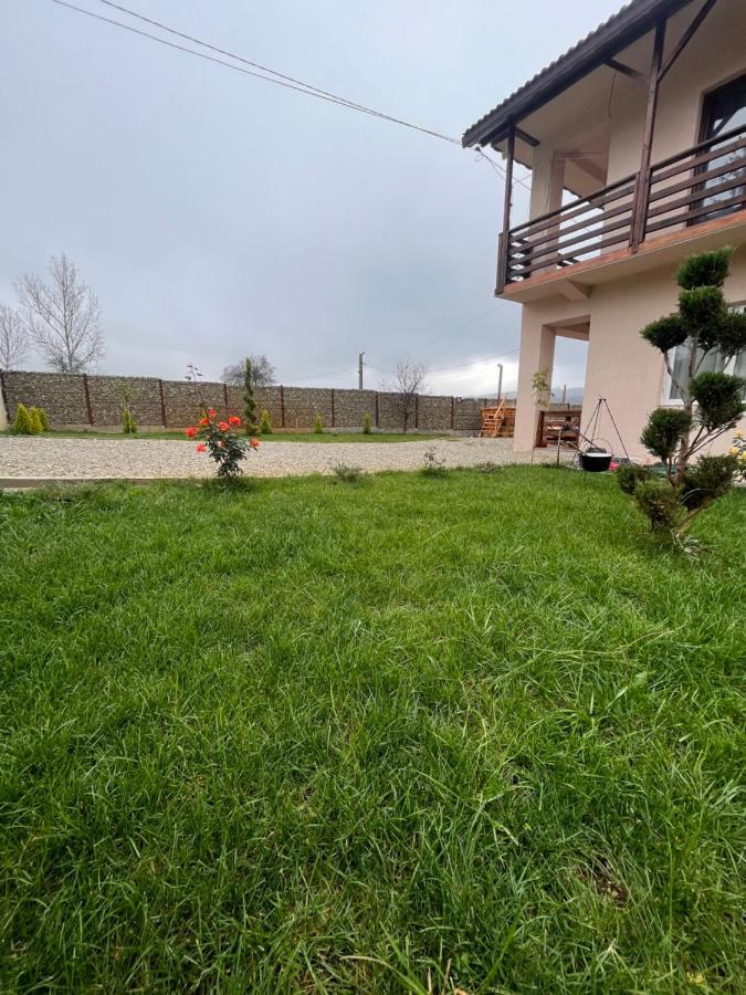 Pensiunea Alin Hotel Sisesti  Exterior photo